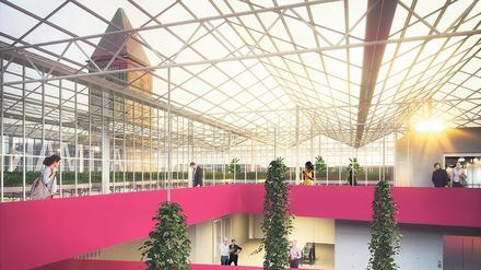Bürogebäude, die gleichzeitig Gewächshäuser sind - eine Vision für 2030.