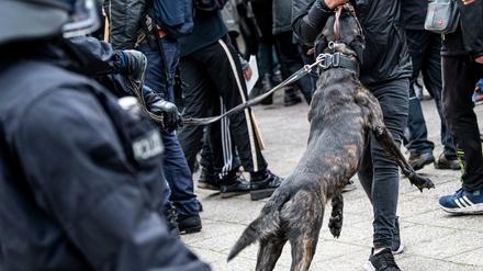 Die Schutzhunde der Polizei werden bei Razzien oder Demonstrationen eingesetzt.