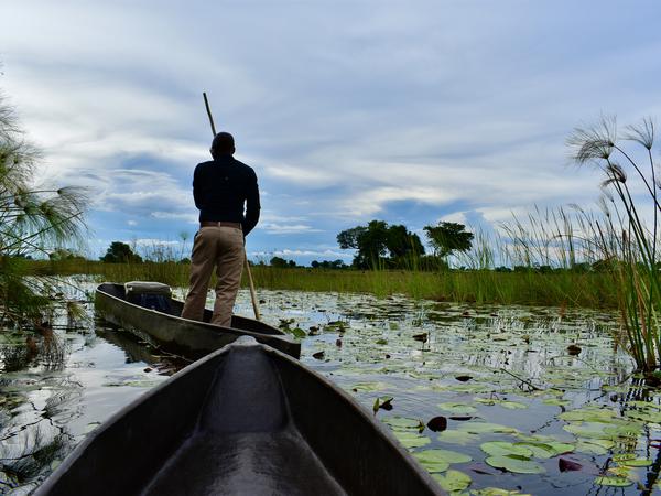 Cruise steuert ein Mokoro durch das Okavangodelta.
