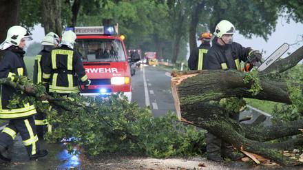 Einsatzkräfte der Feuerwehr räumen nahe Röbel/Müritz einen bei einem Unwetter umgestürzten Baum von der Fahrbahn.