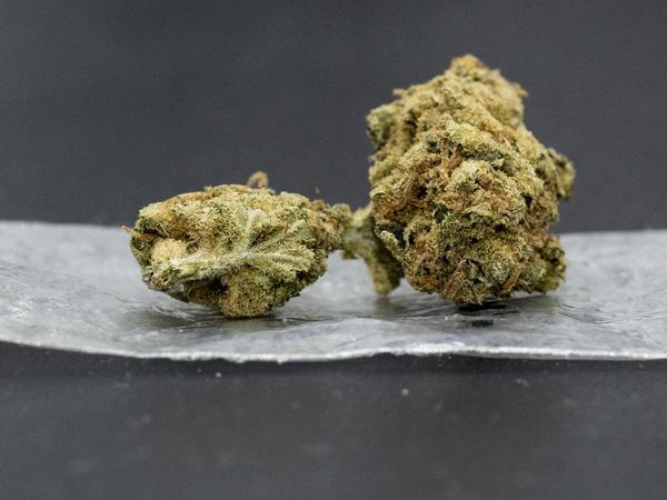 Eine Cannabisblüte liegt auf einem Plastikbeutel (auch als „Baggy“ bekannt).