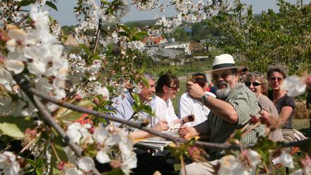Auch dieses Jahr laden beim Baumblütenfest wieder Höfe und Gärten ein.