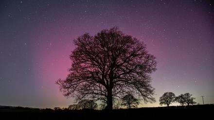 Polarlichter leuchten über dem britischen Shropshire, veröffentlicht mit Genehmigung vom Twitter-Account von Alex Murison. 