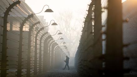 Am 27. Januar 1945 wurde das Konzentrationslager Auschwitz befreit.  