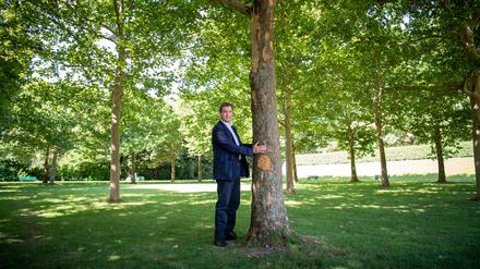 Markus Söder (CSU), Ministerpräsident von Bayern, steht neben einem Baum im Hofgarten hinter der bayerischen Staatskanzlei. 