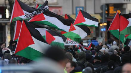 Palästina-Flaggen wehen bei einer Solidaritätskundgebung.