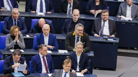 Blick auf die AfD-Fraktion im Plenum des Bundestages Ende Januar. 