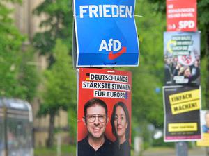 Plakate von SPD-Politiker Matthias Ecke und von der AfD hängen übereinander an einer Straße in Dresden.