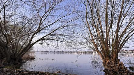 Hochwasser im Park Babelsberg. Die Havel hat stellenweise Wiesen geflutet.