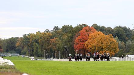 Inzwischen ist das wieder grüner. Pferde und Jockeys bei einem Rennen auf der Geraden Bahn im Oktober 2023. 