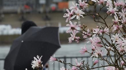 Ein Schwung höhenkalter Luft beschert uns derzeit ein typisches Aprilwetter im März“, sagte Sebastian Schappert vom Deutschen Wetterdienst (DWD).