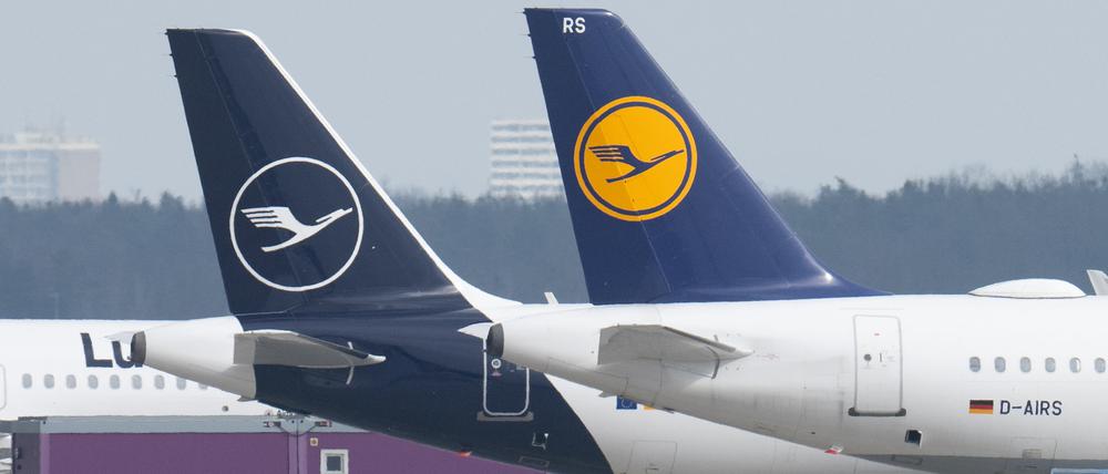 Die Tarifschlichtung für Lufthansa-Bodenpersonal hat begonnen und Passagiermaschinen der Lufthansa stehen auf dem Rollfeld auf dem Flughafen Frankfurt. 