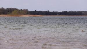 Große Seddiner See, Grosse Seddiner See, Gewässer, Gewaesser, Foto: Ottmar Winter PNN ACHTUNG: Foto ist ausschließlich für redaktionelle Berichterstattung der PNN und des TGSP! 