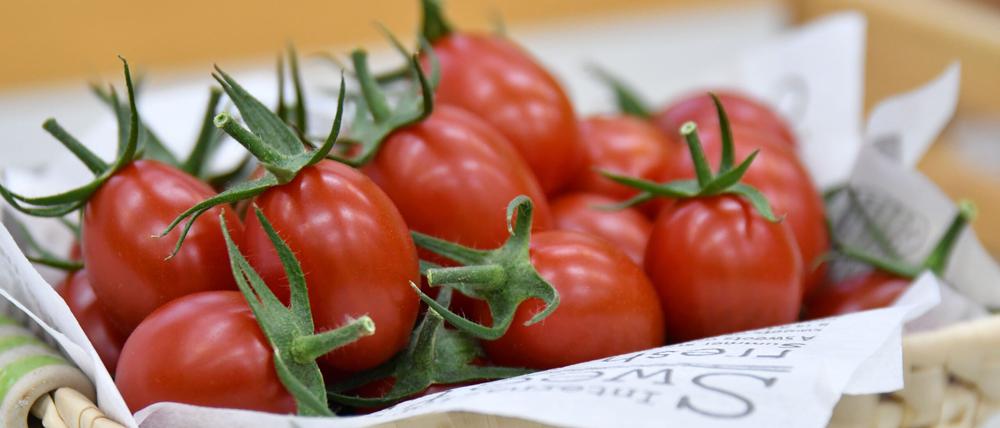 Die genomeditierte Tomate „Sicilian Rouge High GABA”