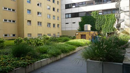 Innenhof der Wohnungsbaugesellschaft Stadt- und Land, die sich an einem Wettbewerb für Grüne Firmengärten beteiligt hatte.