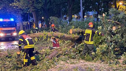 Feuerwehrleute arbeiten in Frankfurt/Main an der Beseitigung eines umgestürzten Baumes nach einem Sturm.