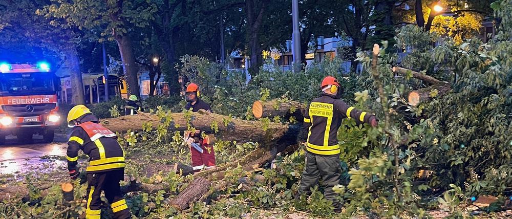 Feuerwehrleute arbeiten in Frankfurt/Main an der Beseitigung eines umgestürzten Baumes nach einem Sturm.