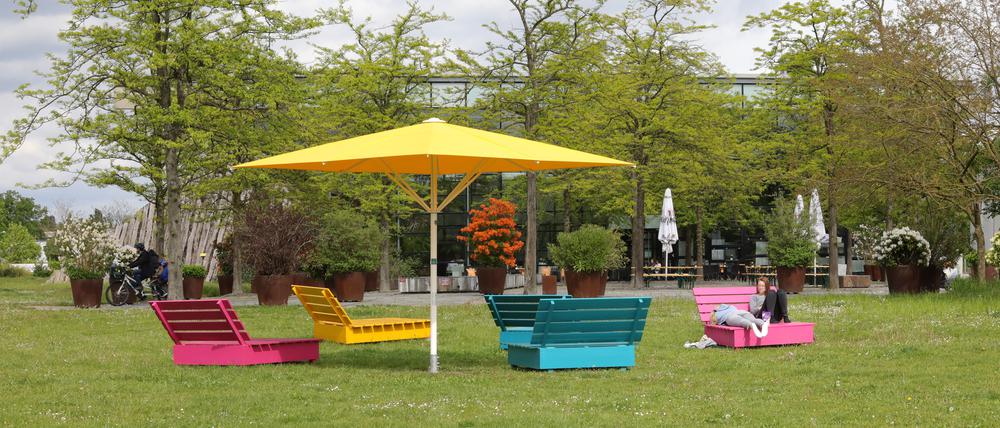 Mehr Sitzgelegenheiten und Schatten – eines der Vorhaben im Volkspark Potsdam.