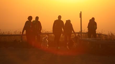 Eine Wandergruppe mit Hunden geht im Licht der aufgehenden Sonne auf dem Brocken.