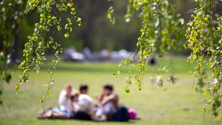 Junge Menschen sitzen beim sonnigen Wetter auf dem Rasen im Tiergarten. (Symbolbild)