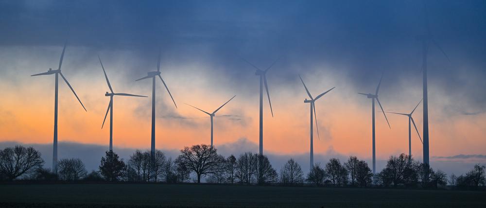 Ein Windenergiepark in Brandenburg