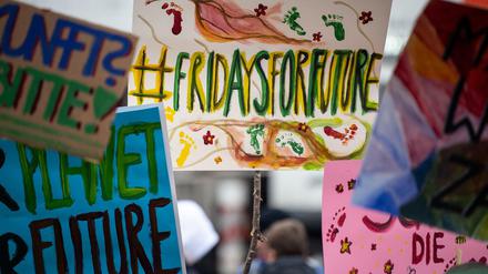 "Fridays for Future": auf einer Demonstration von Schülern gegen den Klimawandel.