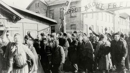 Häftlinge verlassen das Konzentrationslager Auschwitz nach der Befreiung durch die Rote Armee.