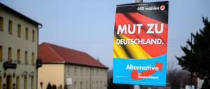 Wahlplakat der AfD für die Landtagswahl in Sachsen-Anhalt 
