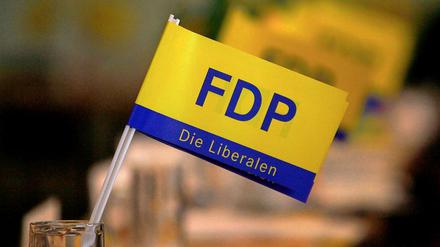 Fähnchen im Wind oder Sturm im Wasserglas? FDP-Nachwuchspolitiker gehen auf Distanz zum Chef.