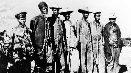 Gefangene Hereros während des Herero-Aufstandes in der deutschen Kolonie Deutsch-Südwestafrika ( Namibia ) 1904. 