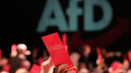 Eine Abstimmung bei einem Landesparteitag der AfD in Sachsen-Anhalt.