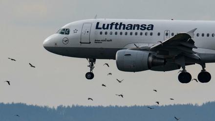 Maschine der Lufthansa in Frankfurt/Main