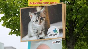 Wahlplakate Kommunalwahl 2024 Potsdam