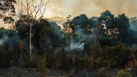 Brennender Regenwald in Belterra, Brasilien