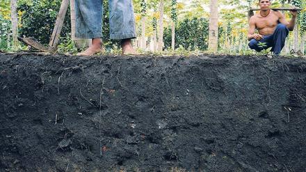 Ideal für Plantagen. Typischer Terra-preta-Boden in Brasilien. Er entstand aus Holzkohle, Dung und Kompost. 