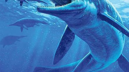Auf der Jagd. So stellt sich ein Künstler den Saurier vor, der vor 244 Millionen Jahren durchs Wasser schoss.