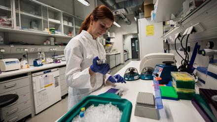 Eine technische Assistentin bereitet mit der Pipette Genproben zur DNA-Sequenzierung vor.