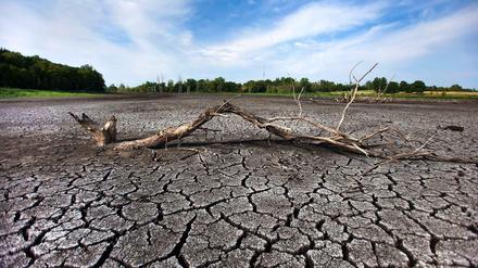 Heißes Land. Die USA wurden im Sommer 2012 von einer heftigen Hitzewelle heimgesucht. Hier eine Aufnahme eines ausgetrockneten Sumpfs in West Lafayette (Indiana). 