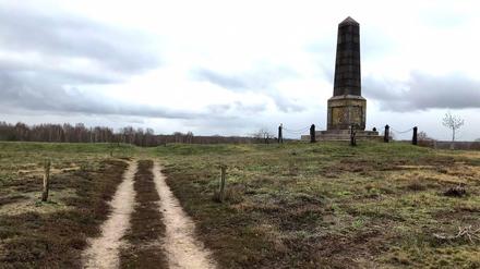 Überall Heidekraut - und mittendrin: ein 11 Meter hoher Obelisk.