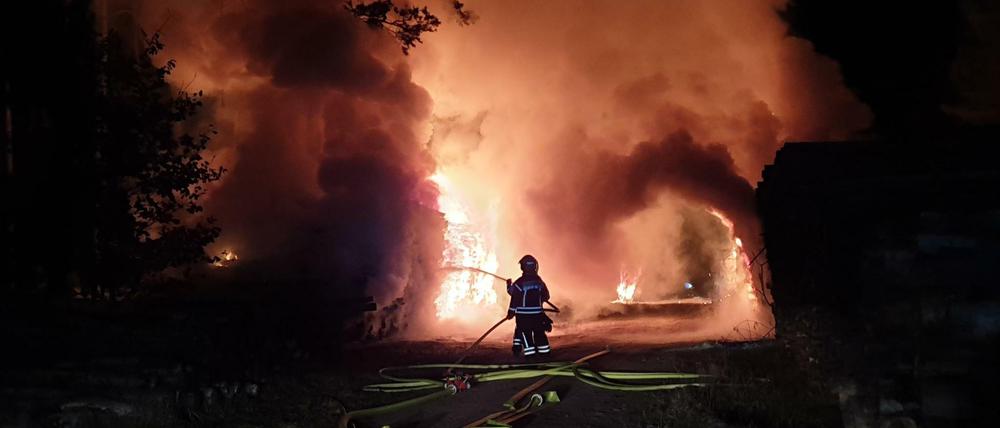 Feuerwehrleute versuchen Anfang April einen Waldbrand bei Wandlitz zu löschen. 