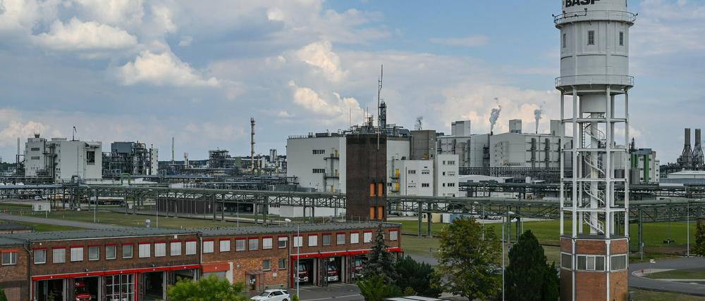 Das BASF-Werk in Schwarzheide ist ein Top-Standort des Konzerns. Und es wird weiter investiert.  
