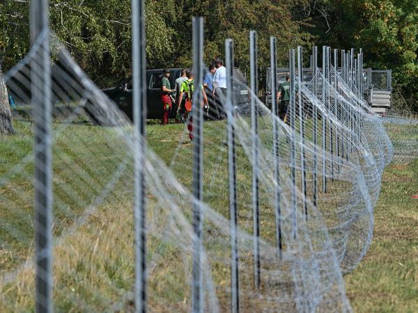 Mitarbeiter des Landesbetriebes Forst Brandenburg errichten nahe dem deutsch-polnischen Grenzfluss Neiße einen festen Zaun gegen die Afrikanische Schweinepest.