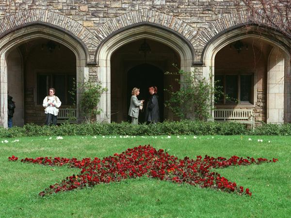 Der Rote Stern vom Cecilienhof. Seit 1945 ziert diese floristische Erinnerung an die Potsdamer Konferenz den Innenhof von Schloss Cecilienhof.