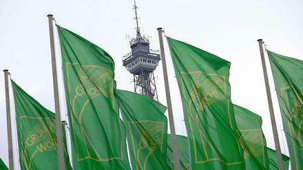 Noch bis Sonntag läuft die Internationale Grüne Woche auf dem Messegelände am Funkturm.