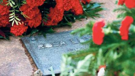 Nelken für Rosa. Tausende Menschen gedachten am Sonntag der ermordeten Kommunistenführer und legten Blumen an Luxemburgs Gedenkstein in Friedrichsfelde nieder. Foto: dpa