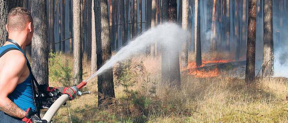 Beim Waldbrand in Fichtenwalde kämpften Berufs- und Freiwillige Feuerwehr gemeinsam. 
