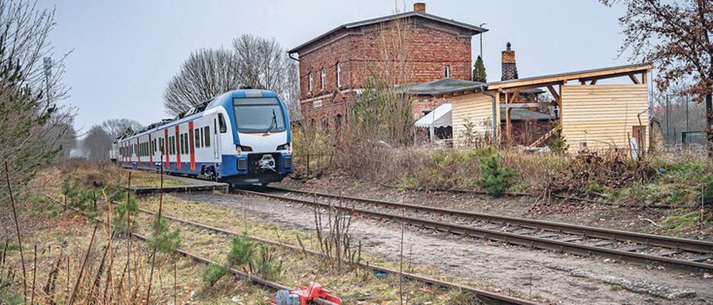 Die Heidekrautbahn zwischen Berlin-Wilhelmsruh und der Schorfheide soll laut Minister Guido Beermann (CDU) 2024 wieder fahren. 