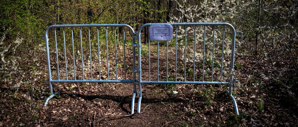 Das Gitter kann weg: Seit 2020 ist der Park Glienicke gesperrt.