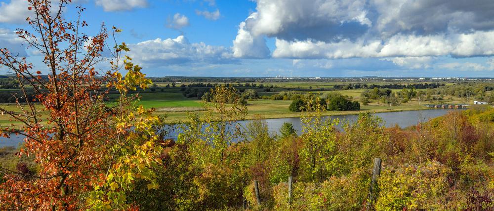 Blick vom polnischen Oderufer auf den Nationpark Unteres Odertal - Polen will den Fluss ausbauen.
