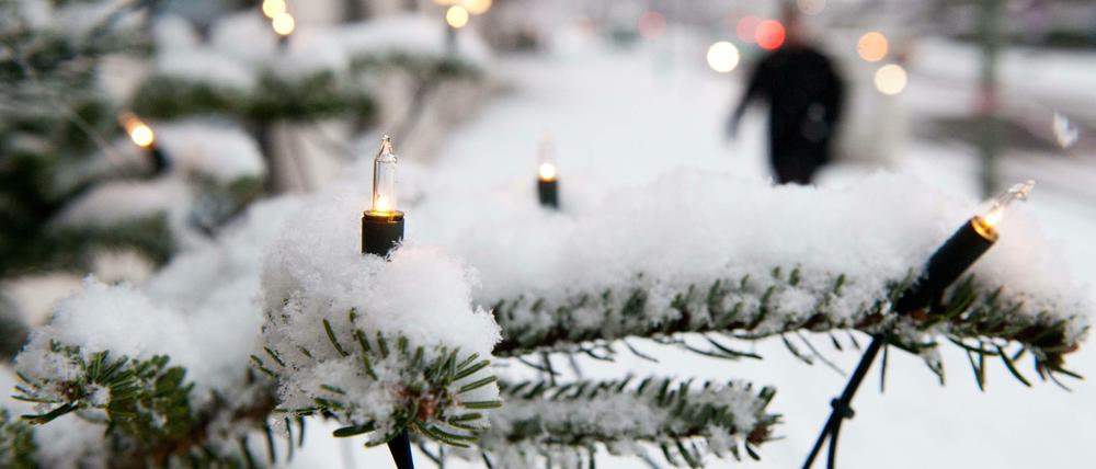 Schnee liegt in Berlin auf einem geschmückten Weihnachtsbaum. Die Hoffnung auf eine gepuderte Hauptstadt könnte dieses Jahr erfüllt werden.